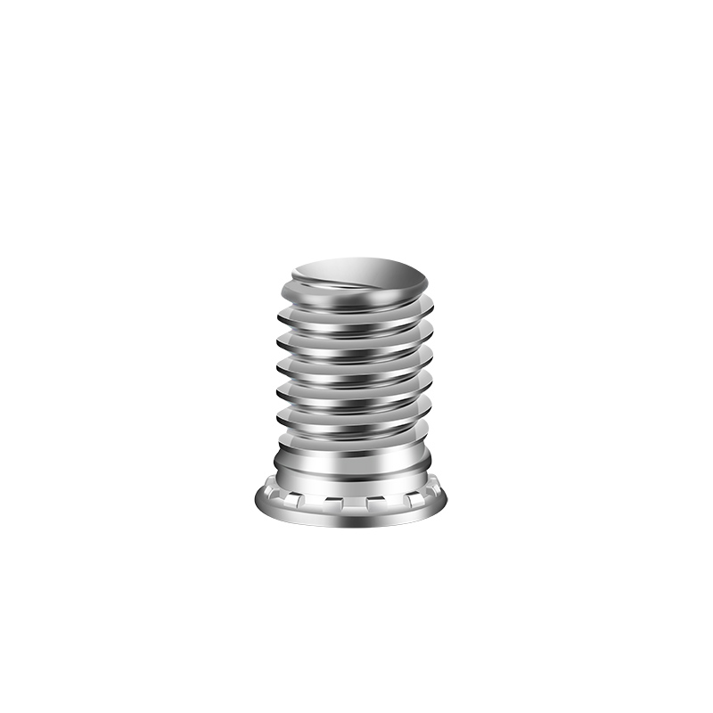 Environmental Features Of Stainless Steel Pressure Riveting Screws